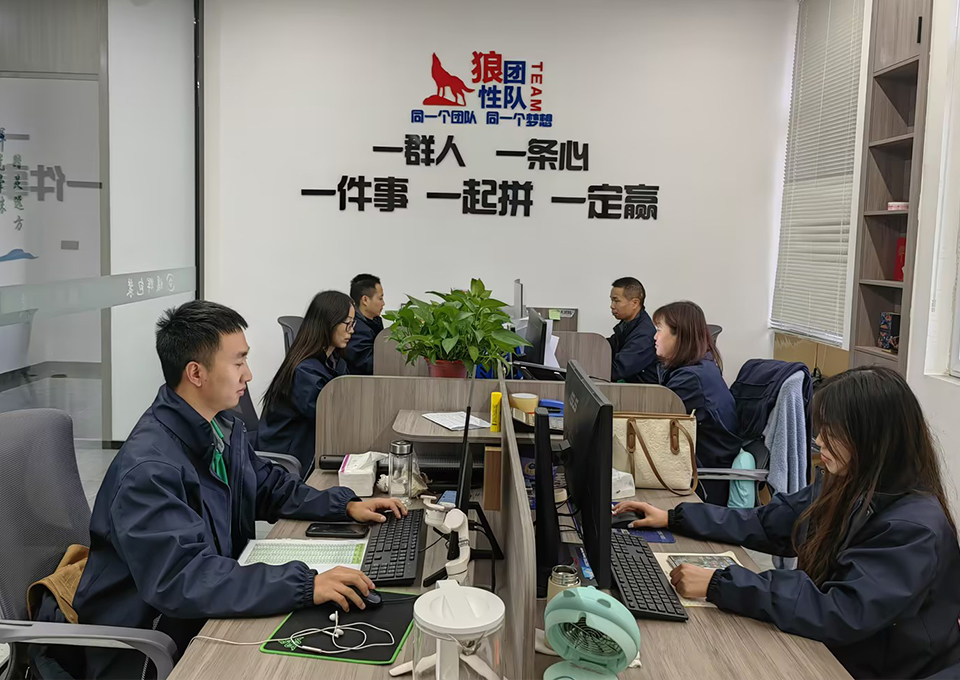 可定製 強大的技術研發團隊,接受個性定製 可定製 強大的技術研發團隊,接受個性定製